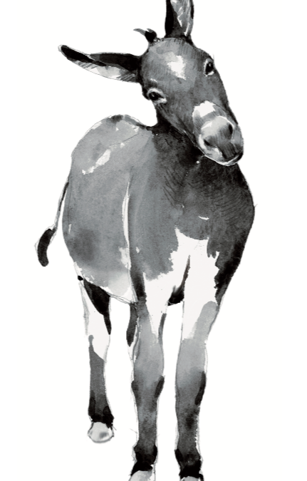 PLATERO ET MOI