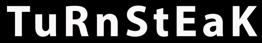 LOGO Turnsteak