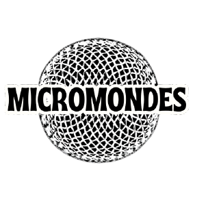 logo-micromondes